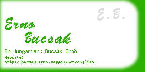 erno bucsak business card