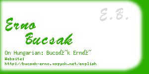 erno bucsak business card